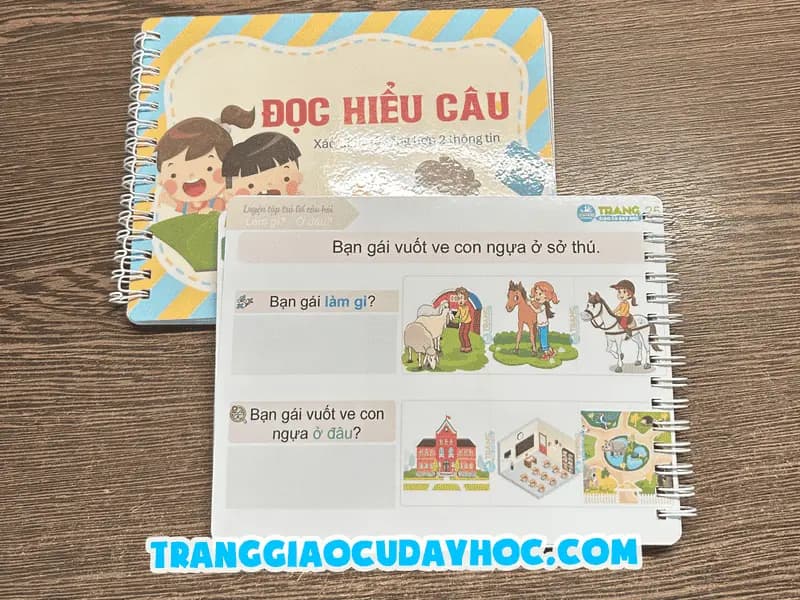 Đọc hiểu câu đoạn